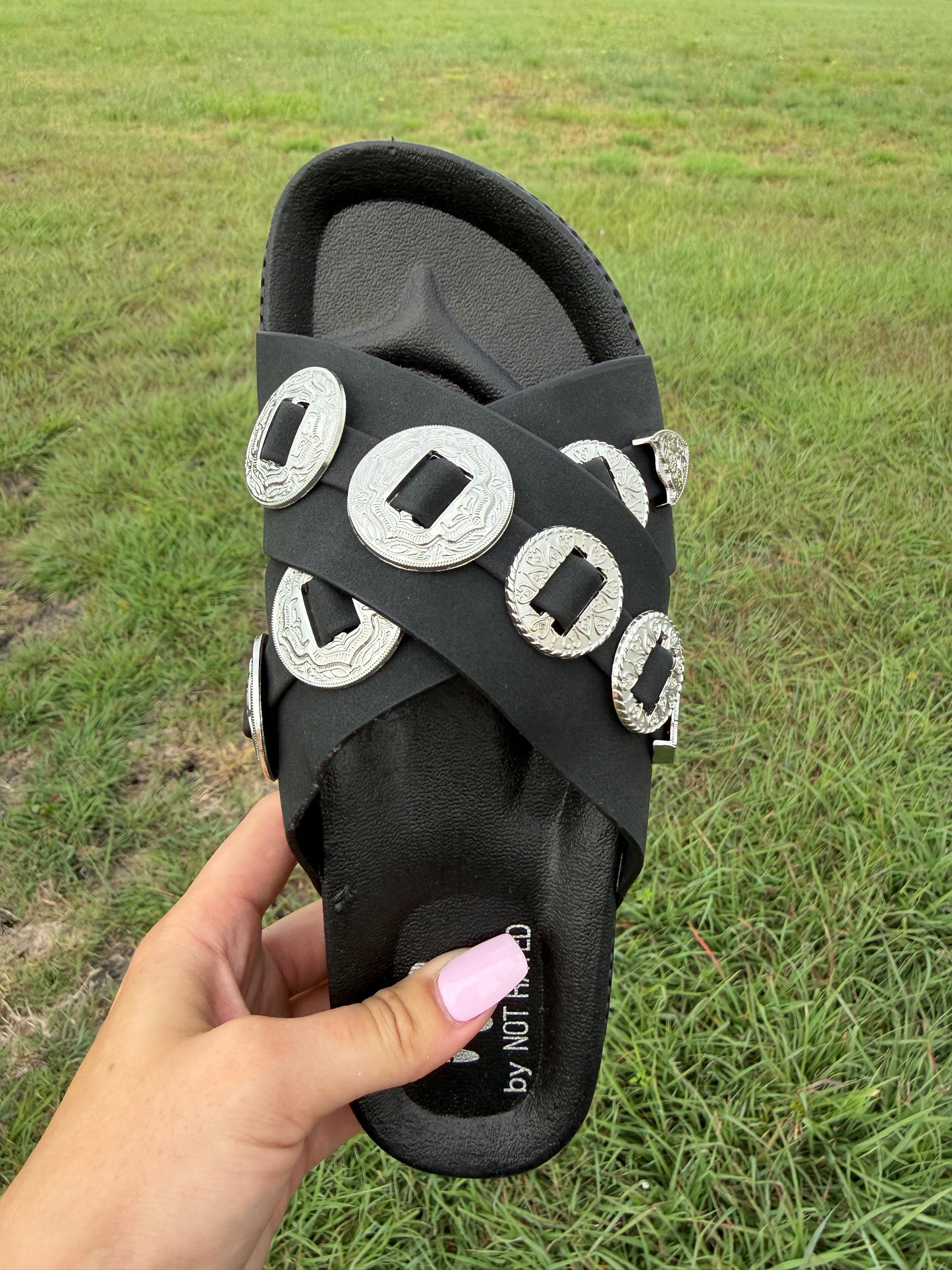 Concho Dreams Slides