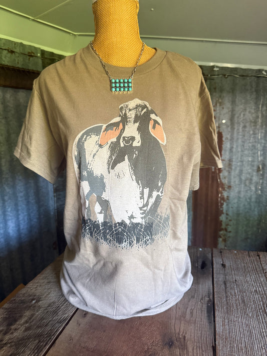 The Vintage Brahma Bull Tee