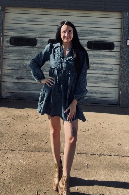 Denim Danny Dress