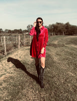 Velvet Dress