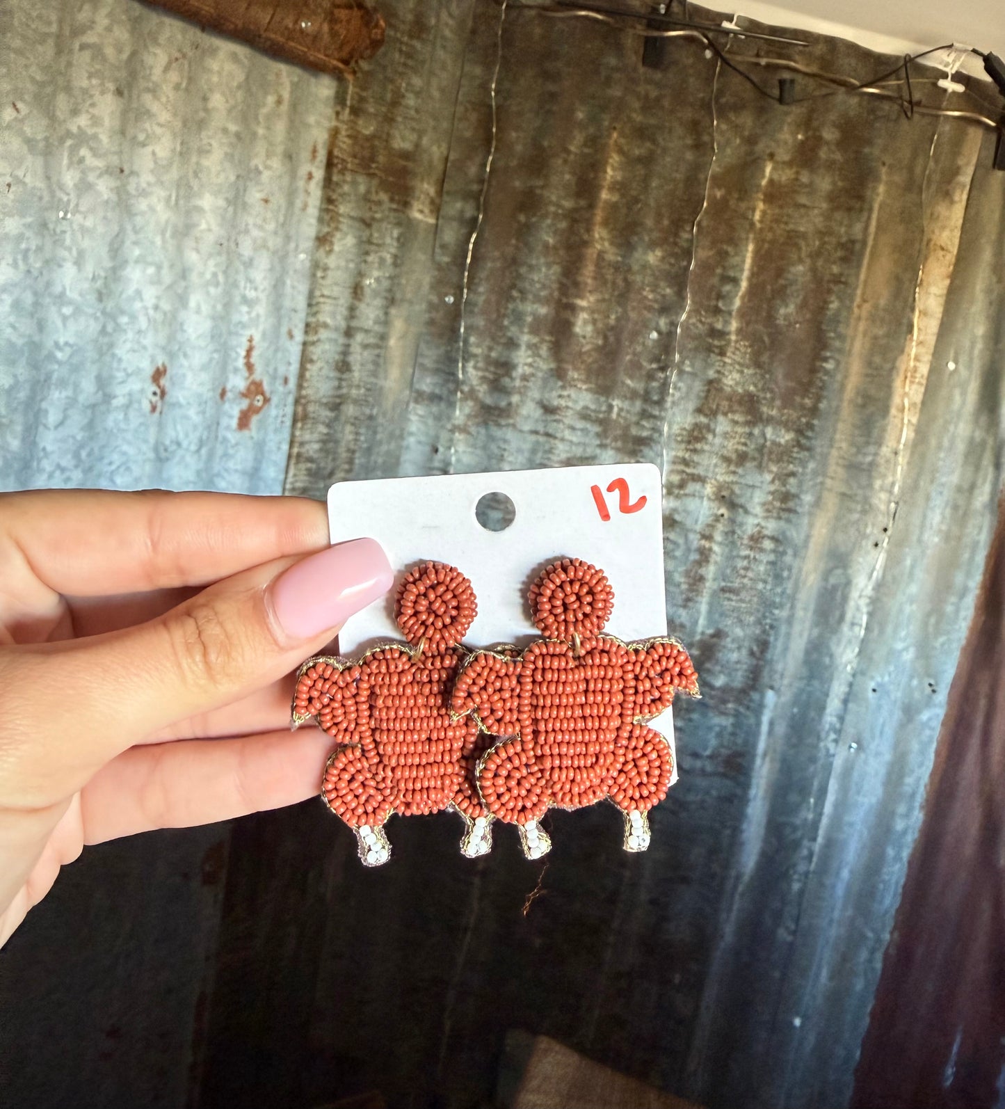 Beaded Turkey Earrings