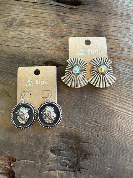 Earrings