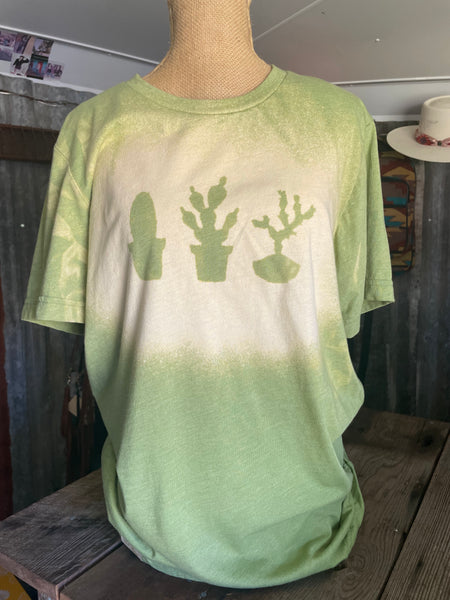 bLeAcHeD cAcTuS tEe